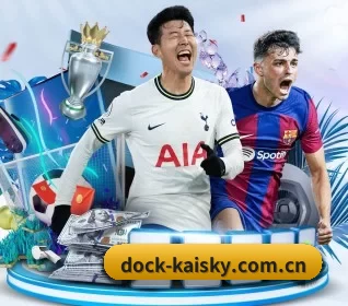 dock-kaisky.com.cn APP