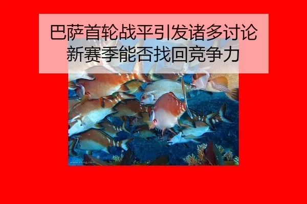 ba-sa-shou-lun-zhan-ping-yin-fa-zhu-duo-tao-lun-xin-sai-ji-neng-fou-zhao-hui-jing-zheng-li-2-954.jpg